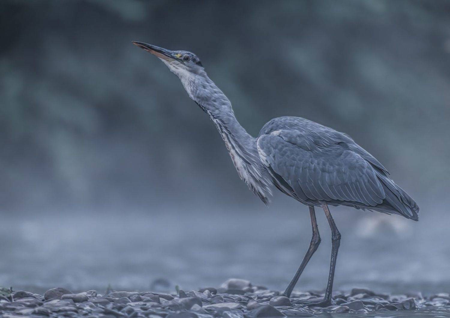 , Sławek Przybylski