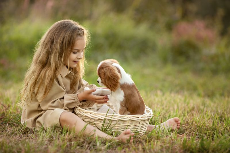Трям! Здравствуйте! фото превью