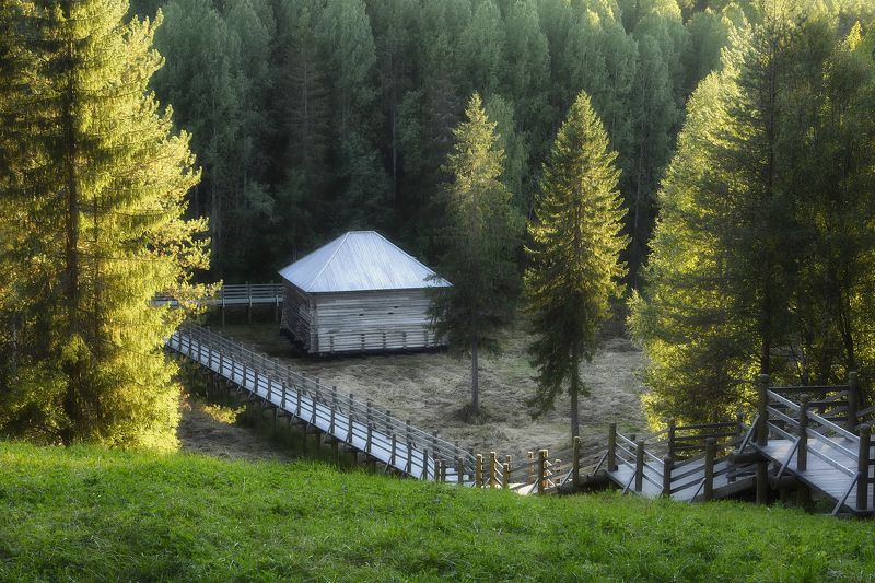 В начале сентября фото превью