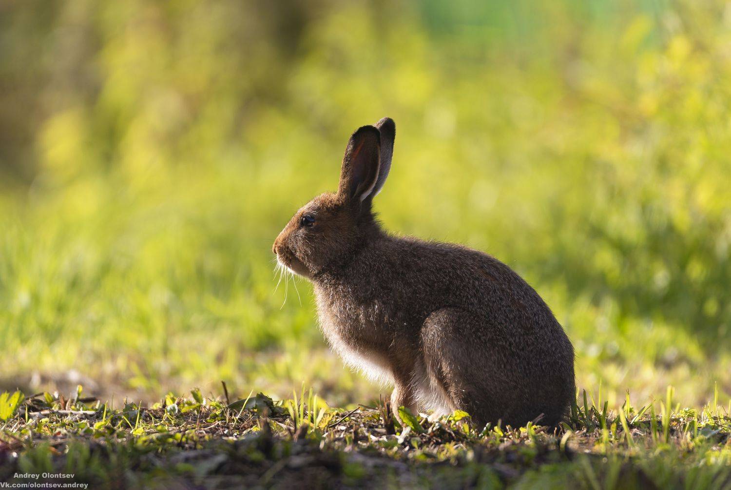 солнце, россия, рассвет, природа, подмосковье, погода, пейзажи, пейзаж, отражение, наукоград, красота, дубна, вода, весна, weather, water, spring, russia, reflection, naukograd, nature, moscow, landscape, dawn, canon, dubna, beauty, Олонцев Андрей
