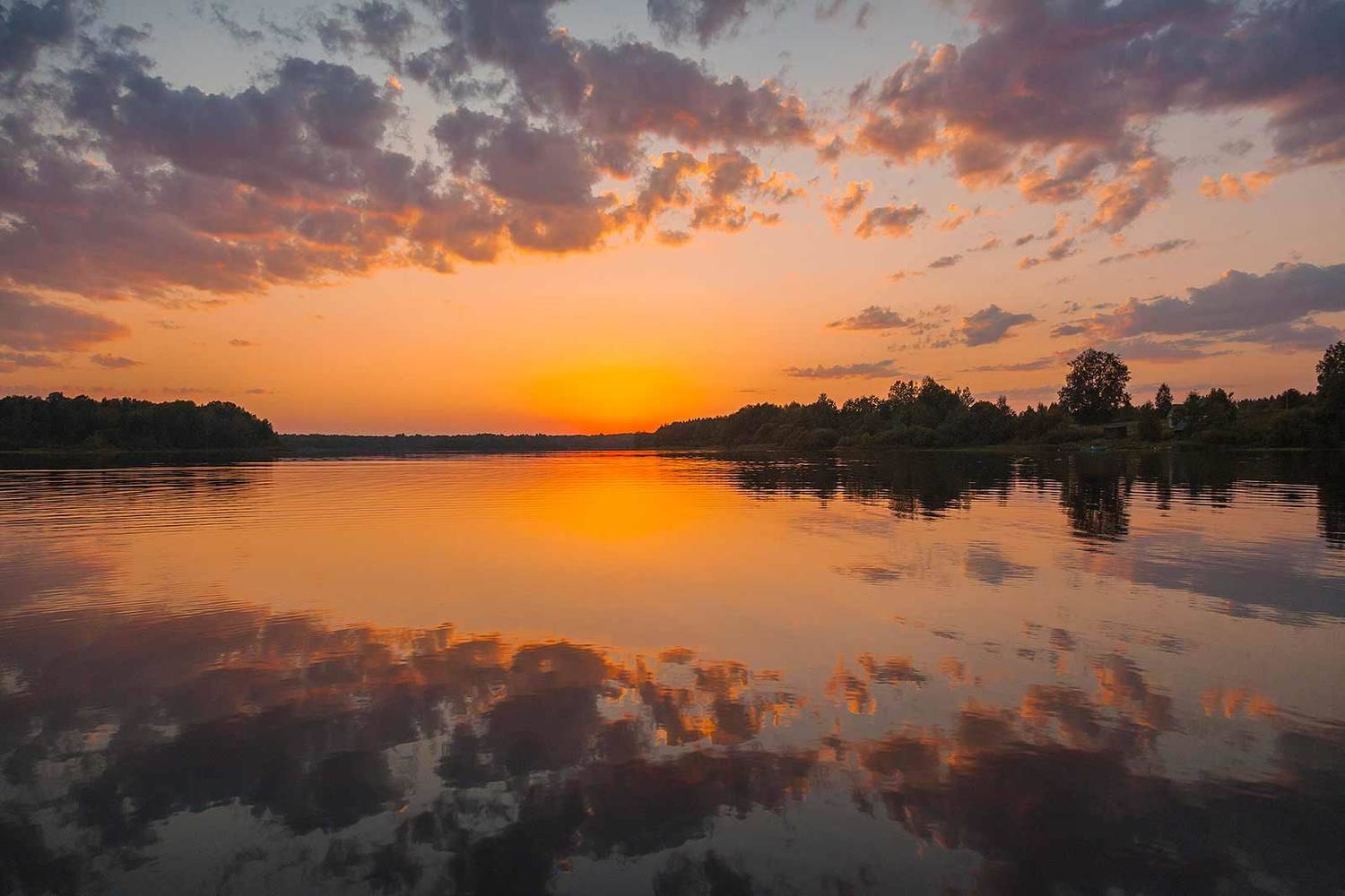 , Напалкин Станислав