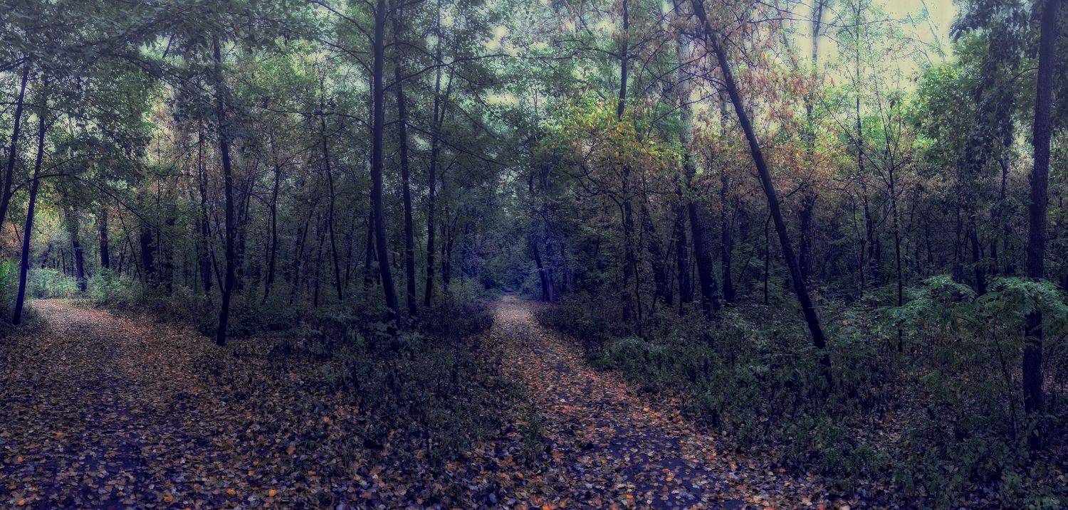 ,  Александр