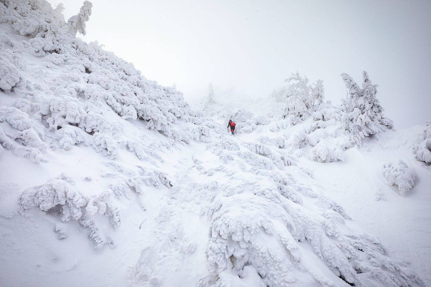 , Konf&aacute;l Miroslav