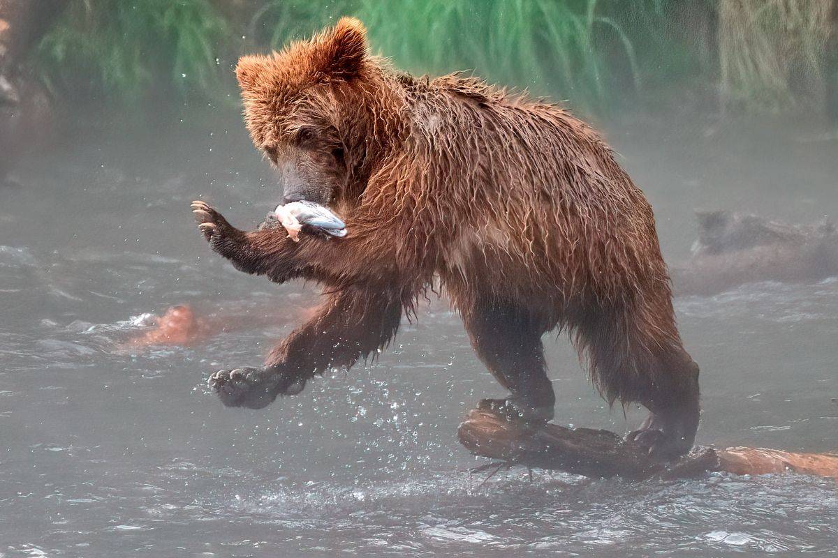 , Юрий Гордонов
