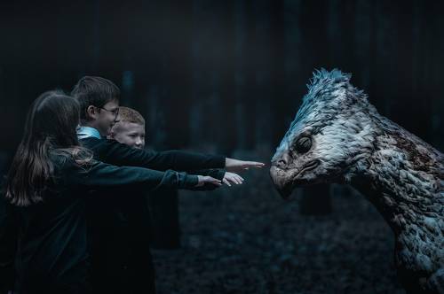 Фан Harry Potter