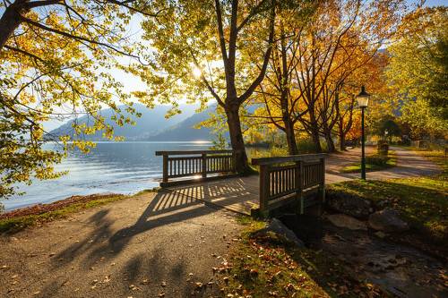 Золотая осень. Австрия. Альпы. Целлерское озеро.