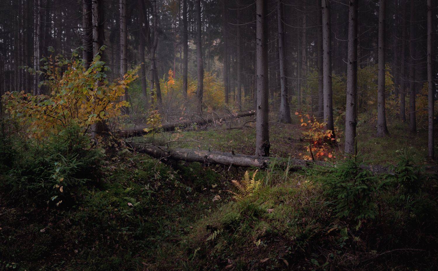 , Баранов Олег