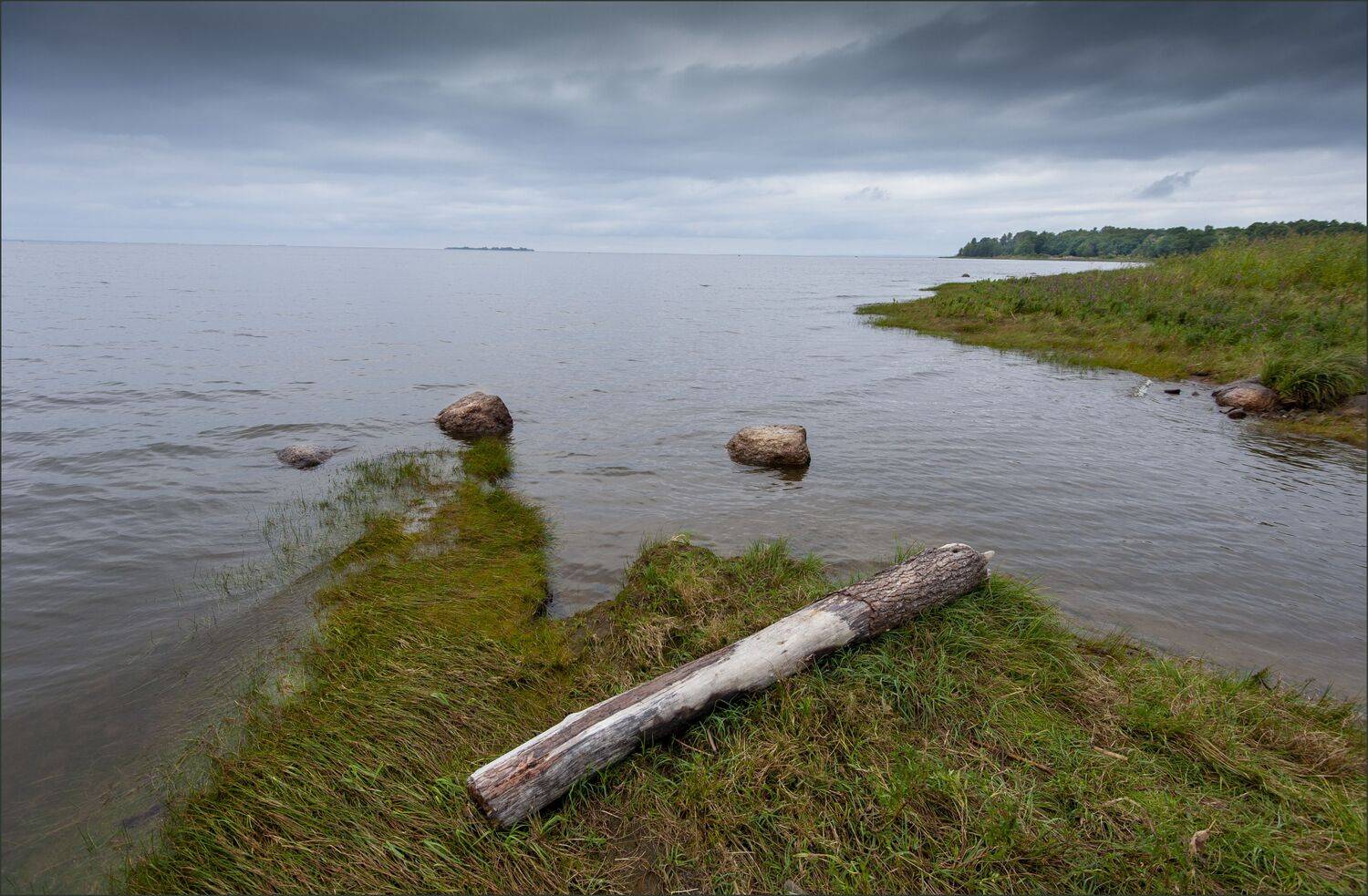 , Георгий Сапожников