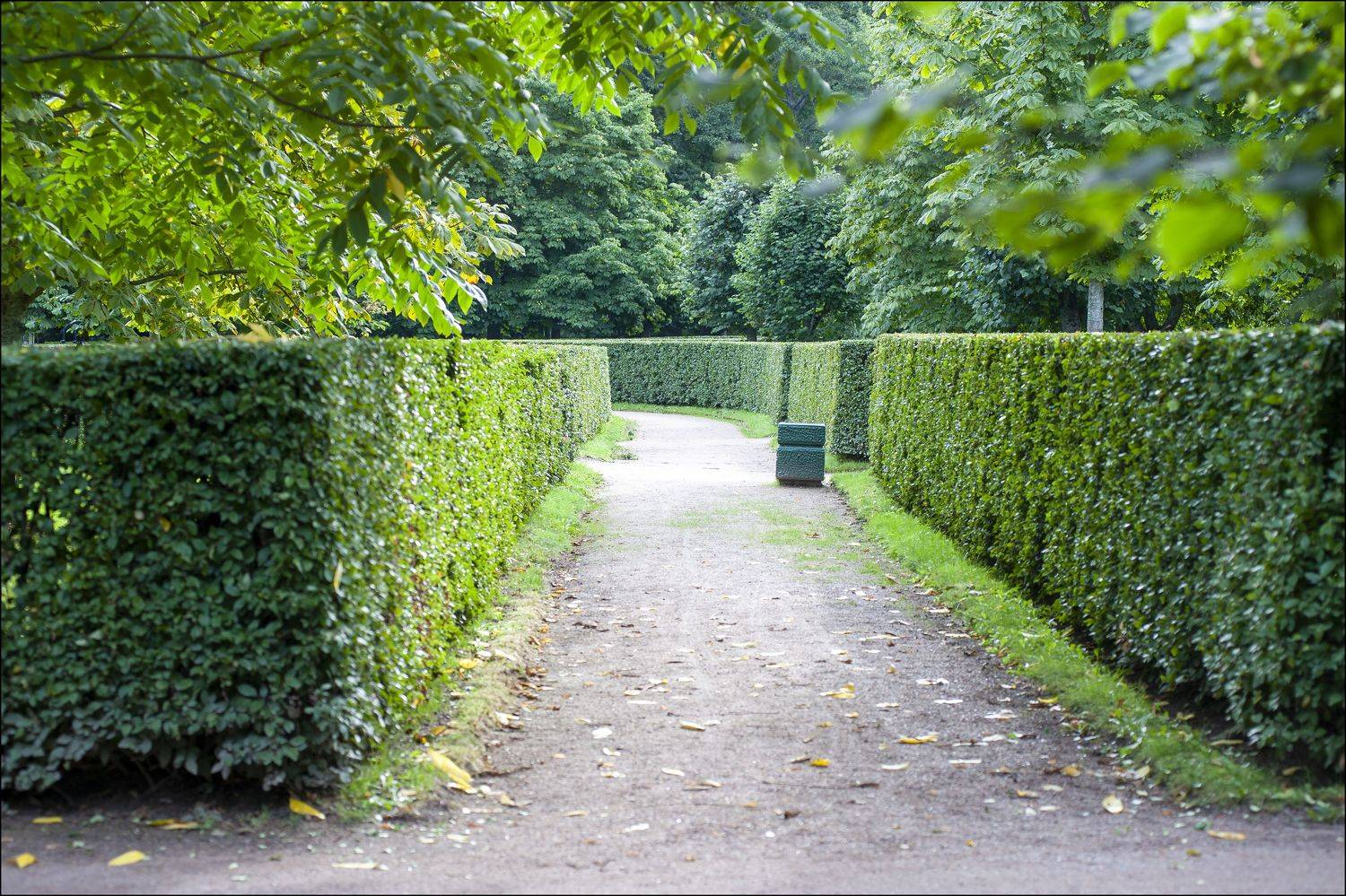 , Георгий Сапожников