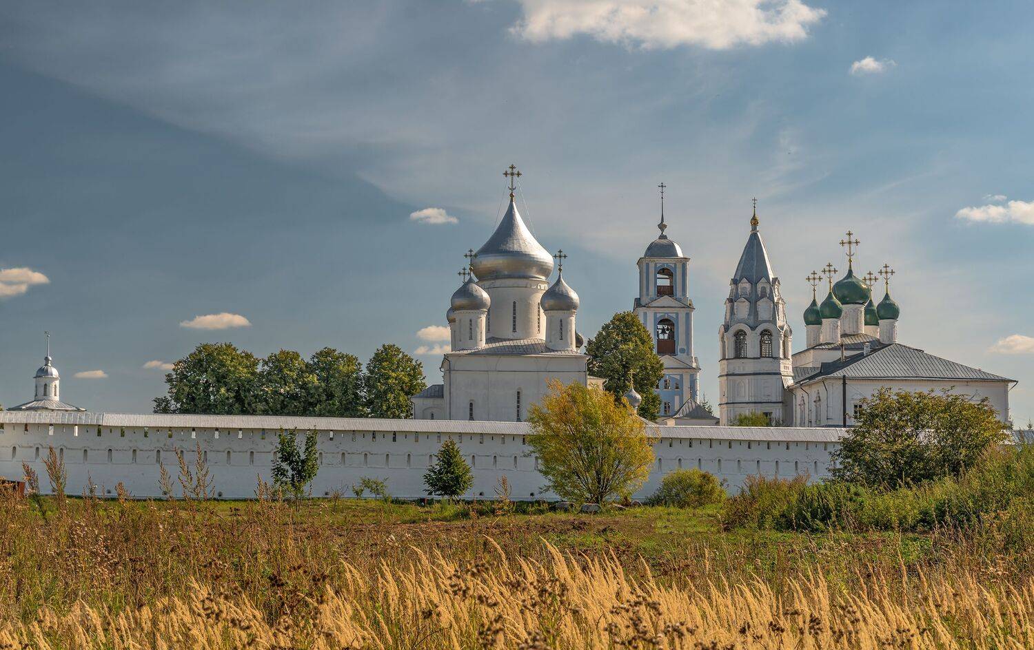 переславль., Вячеслав Бирюков