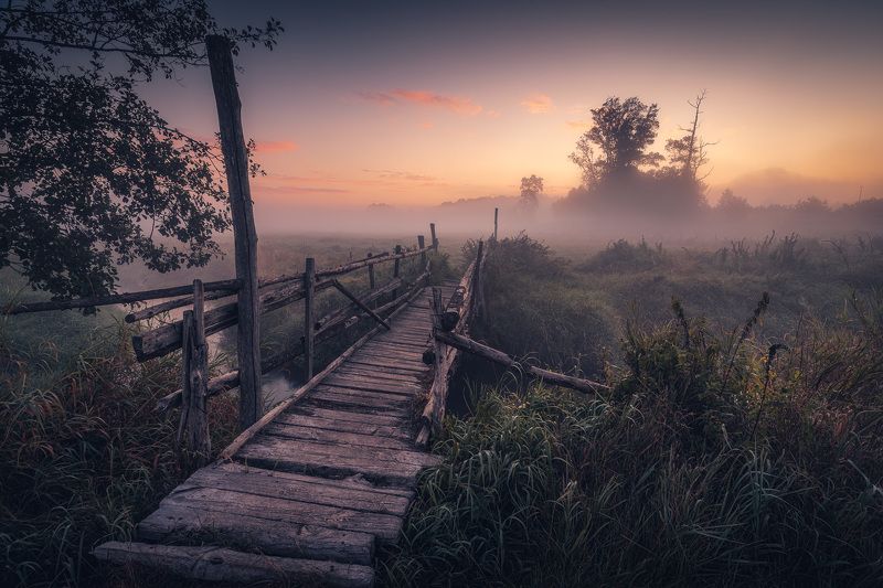 Misty morning фото превью