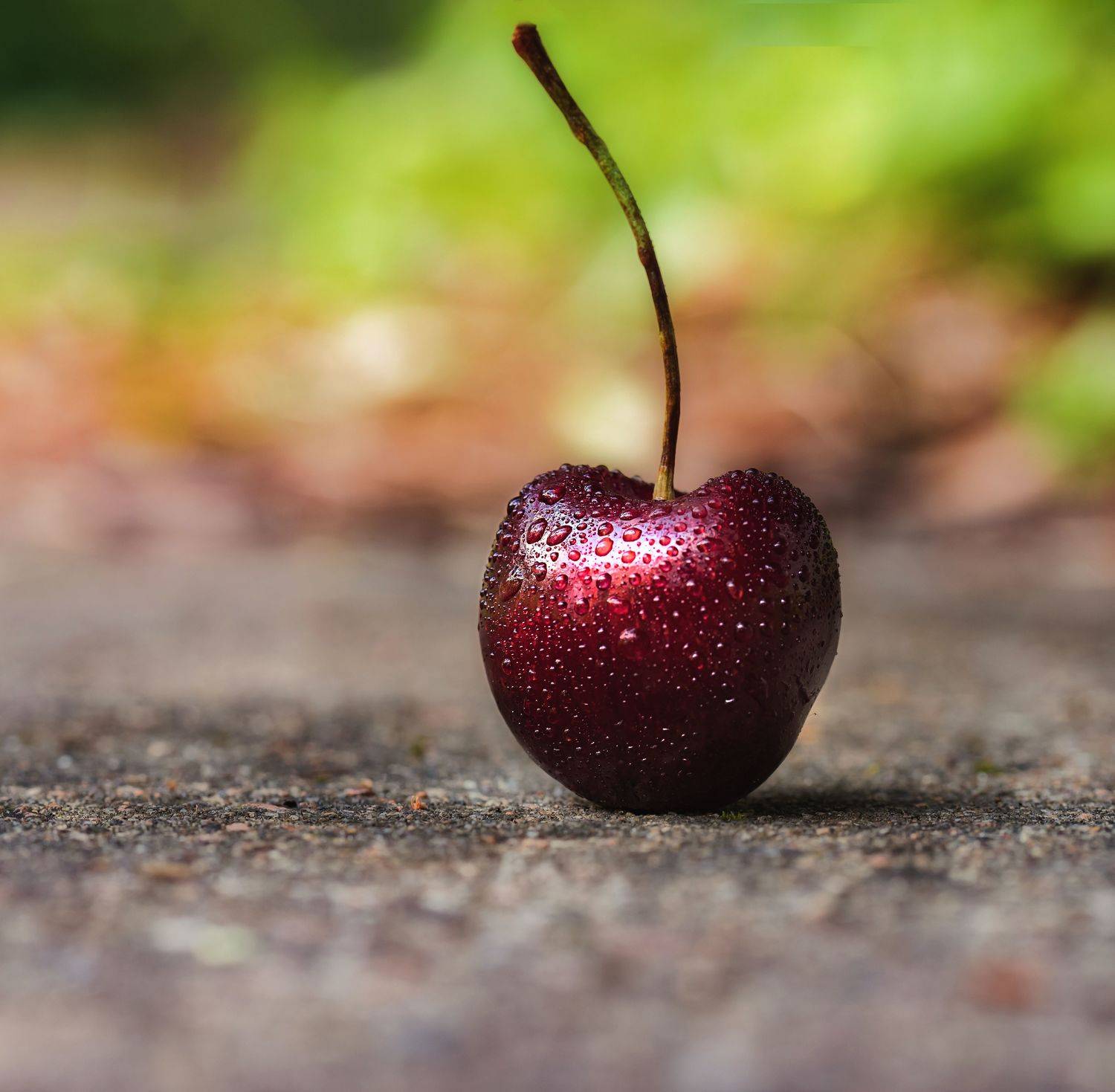 макро, лето, черешня, macro, fruit, fresh, bokeh, Мария Обидина