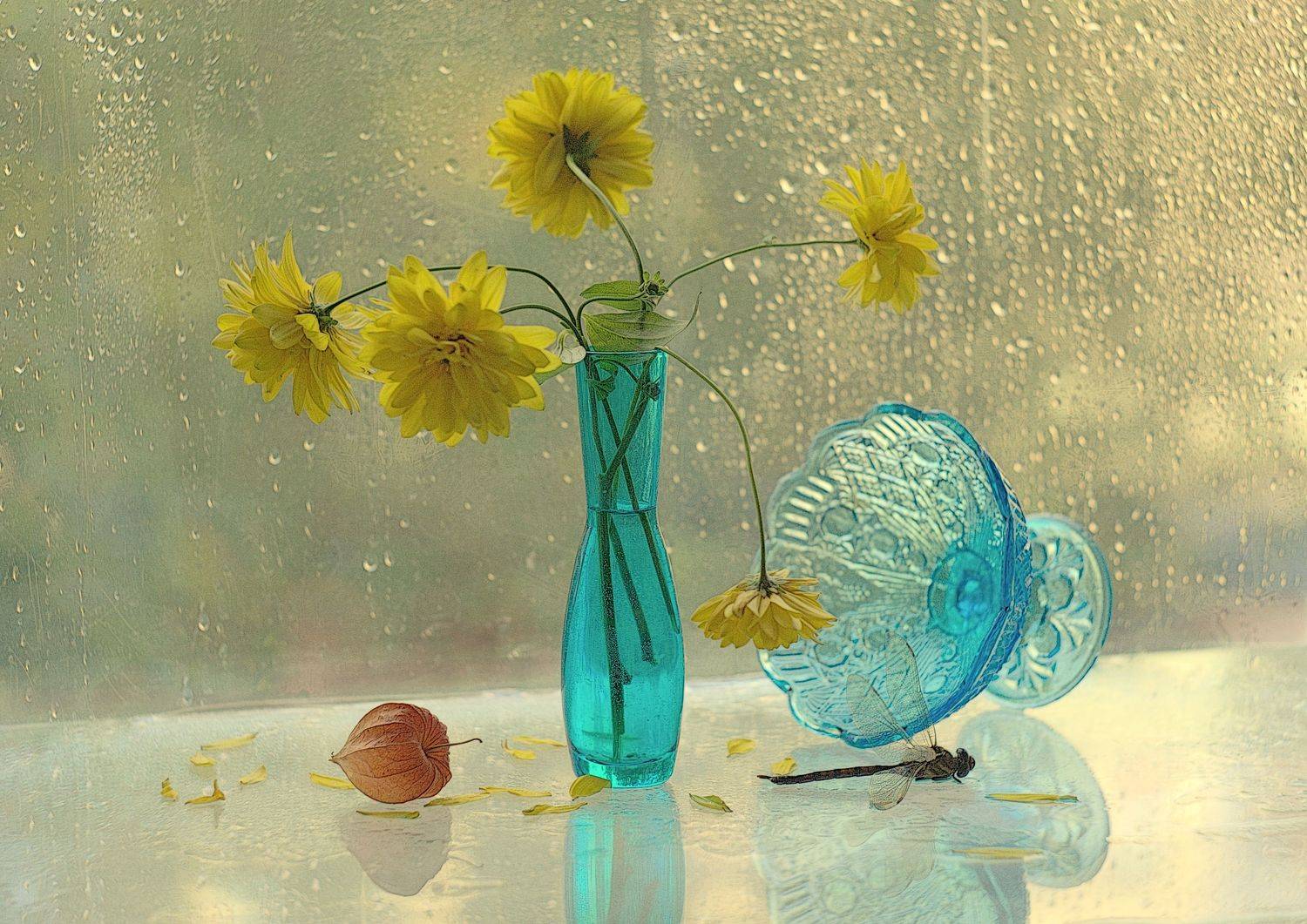 , Хохлова Наталья