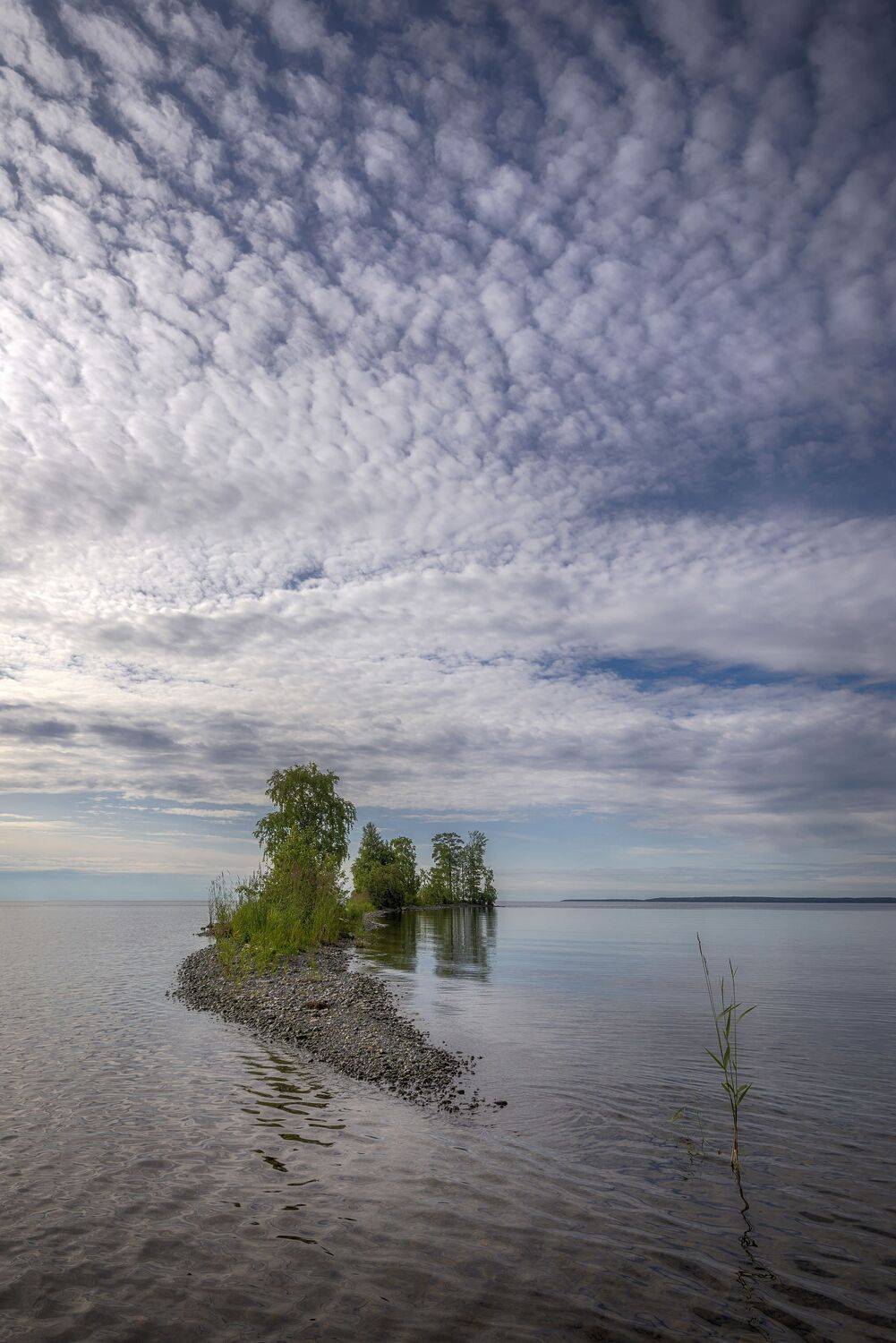 Онега, озеро, коса, природа, вода. небо., Аникин Сергей