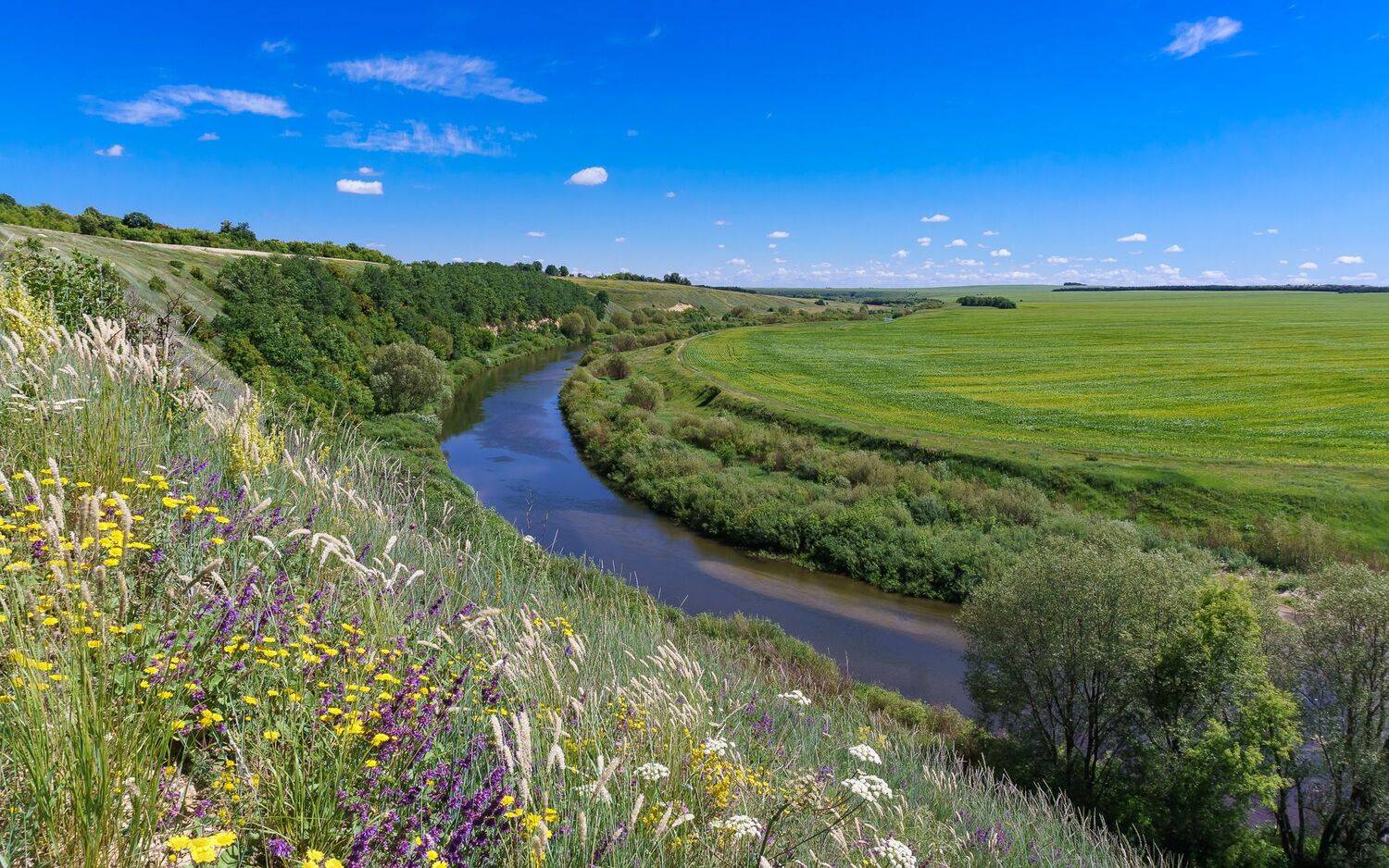 лето, река олым,, Николай Бологов