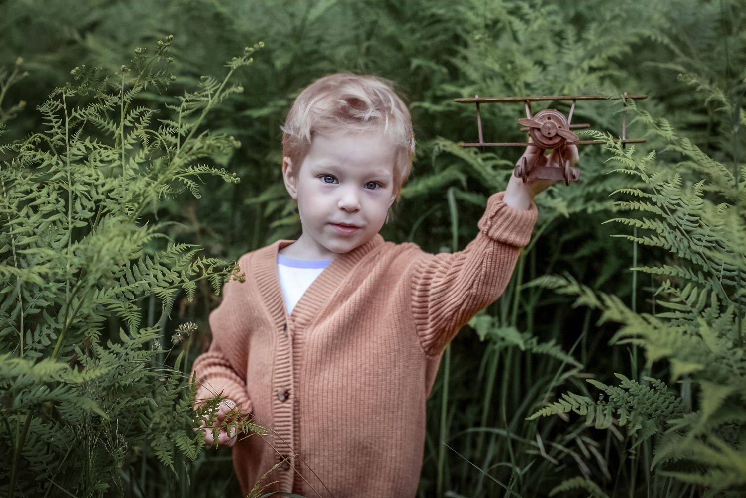 ретро, авиация, самолет, мальчик, папоротник, Ольга Ужекина