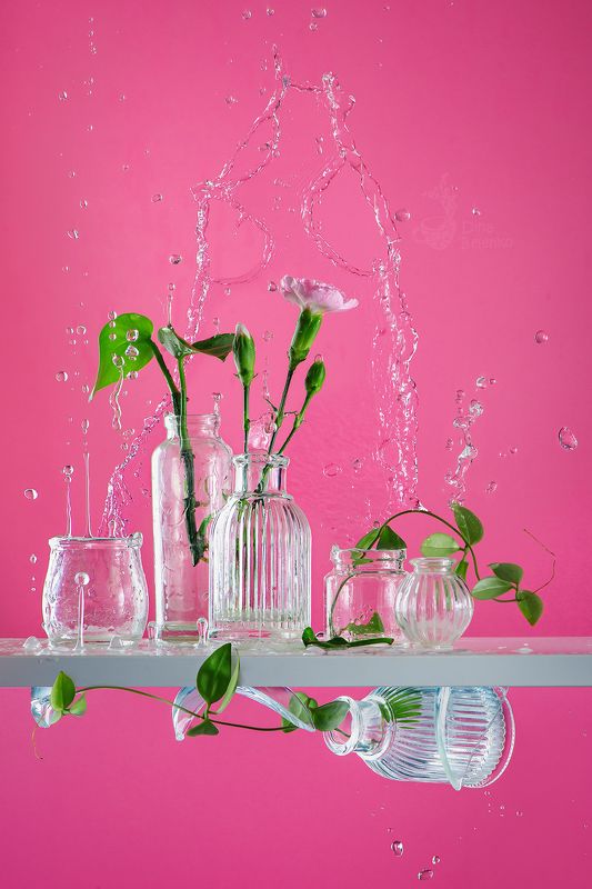 фото превью