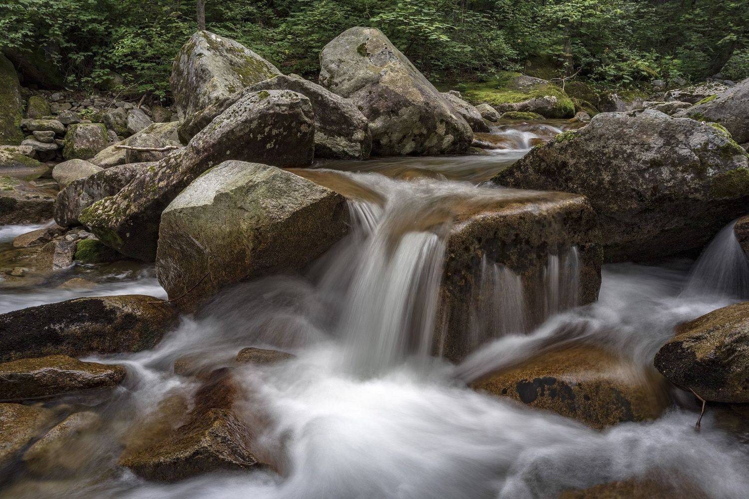ручей, камни, тайга, ALEKSANDR KUZNETSOV
