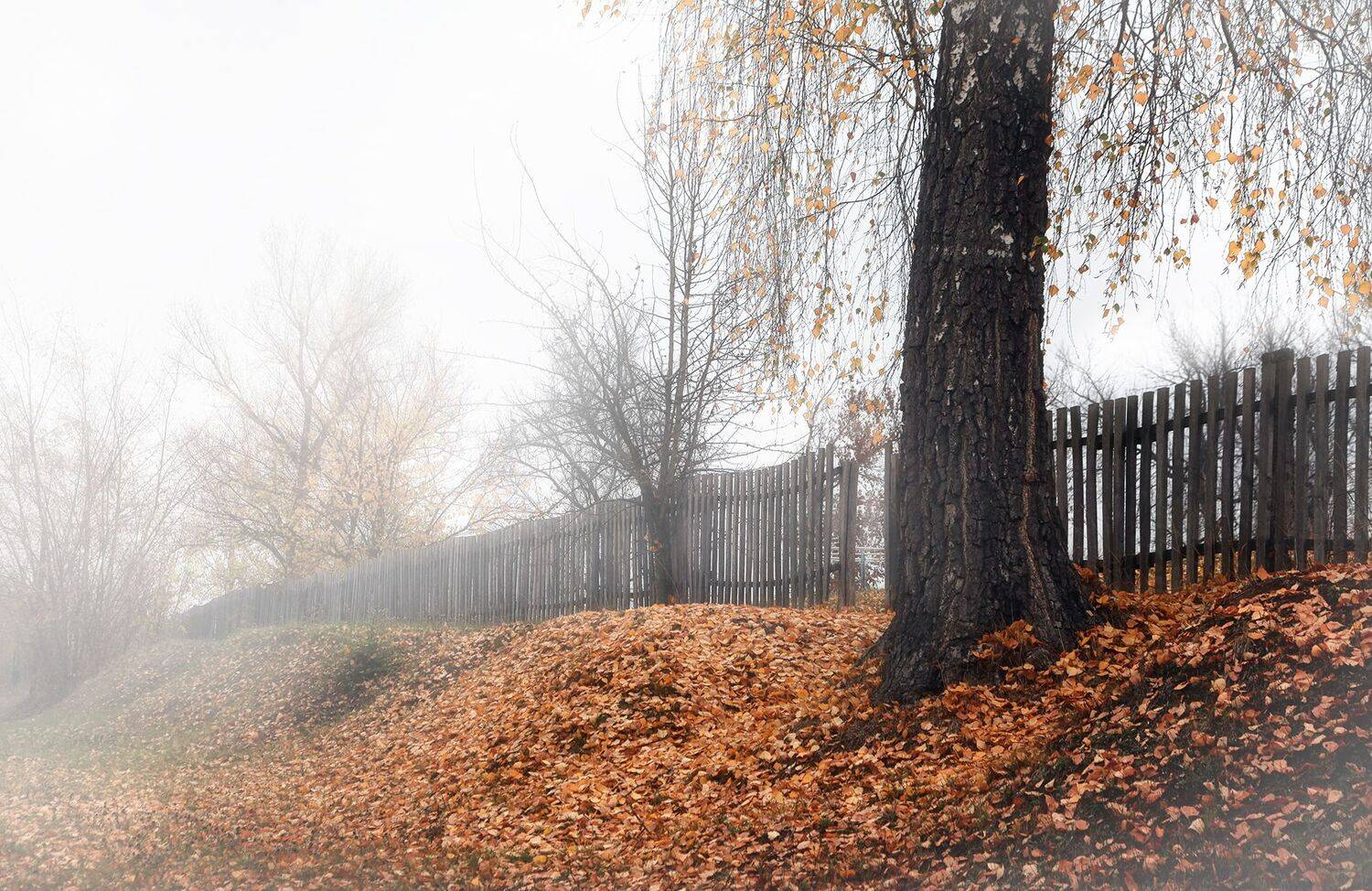 , Alexander Slepcowski