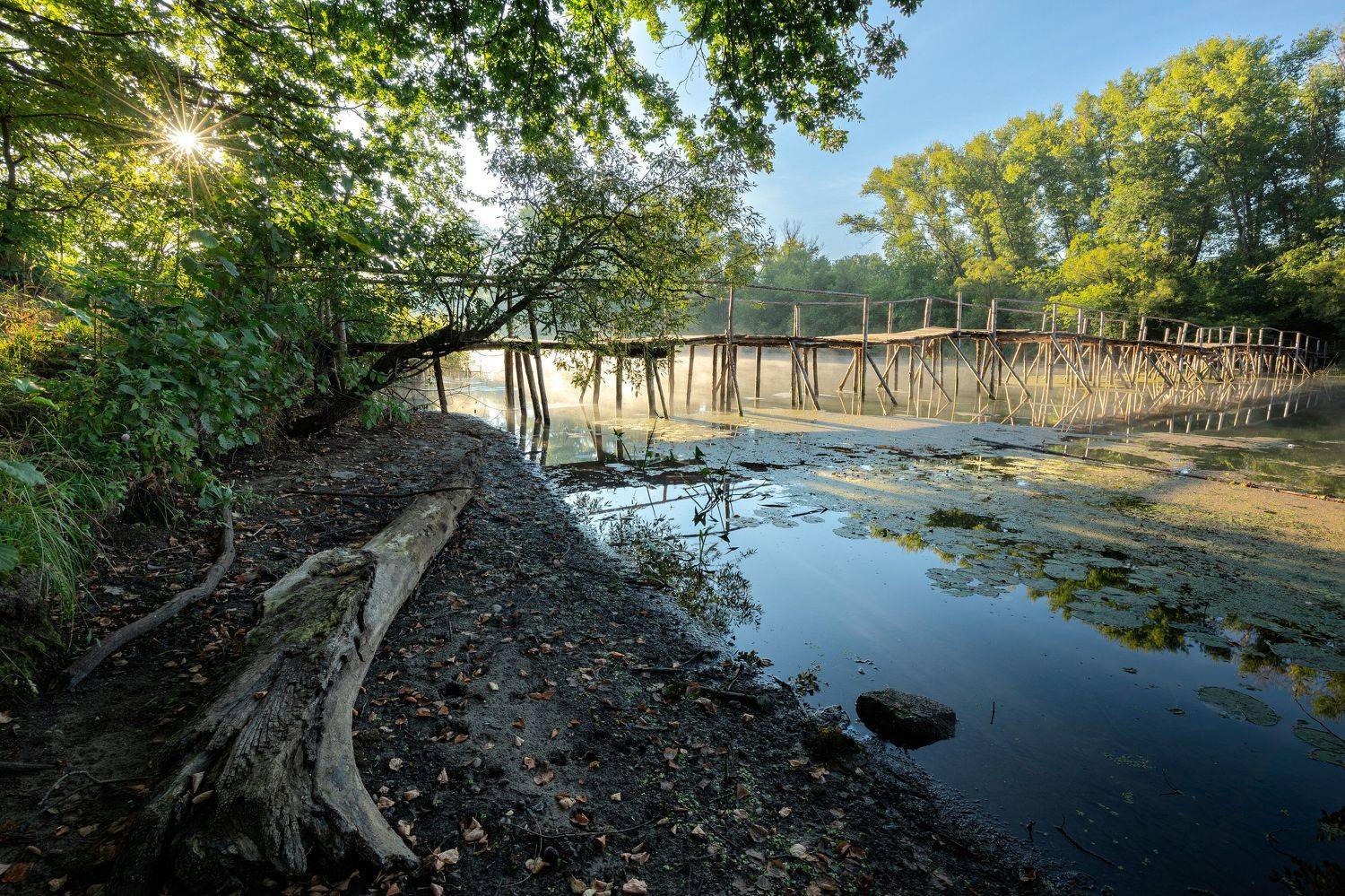 , Александр Бредихин