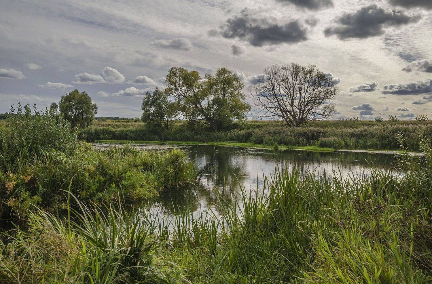 река, упа, лебягожка, слияние, Михаил Агеев