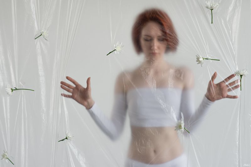 Flovers and Membrane фото превью