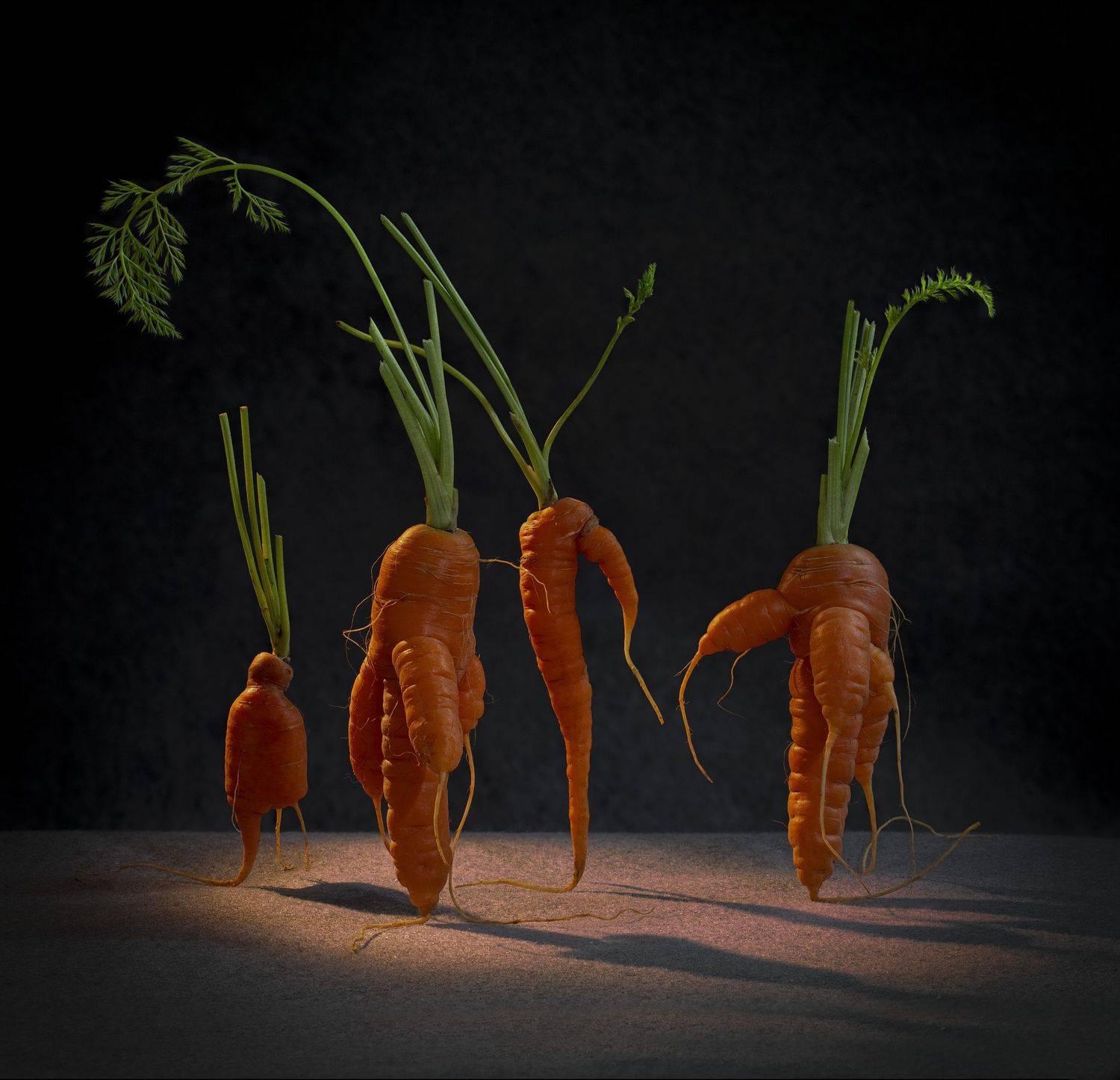 , Черновол Валентин