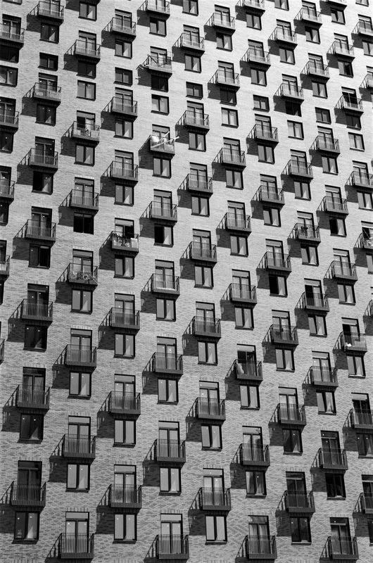 Человейник фото превью