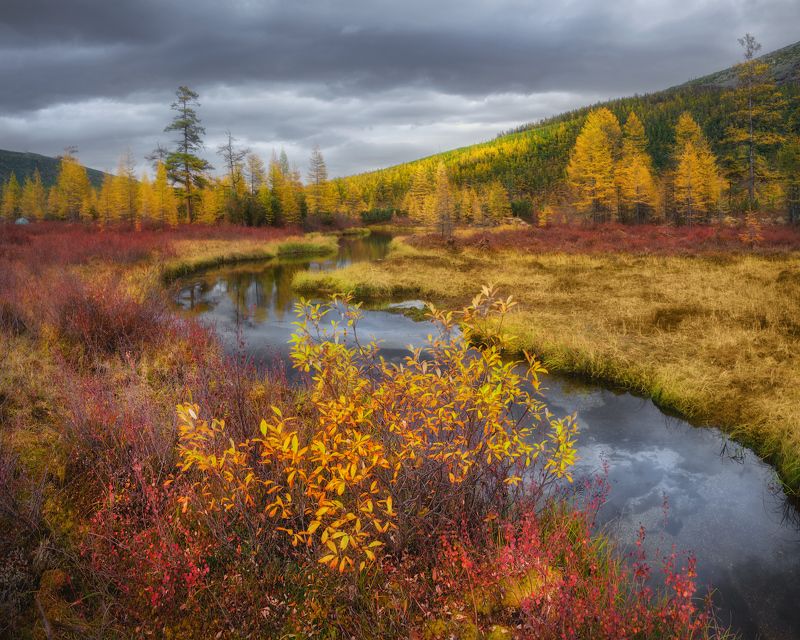 осень, колыма Моменты осени на Колыме фото превью