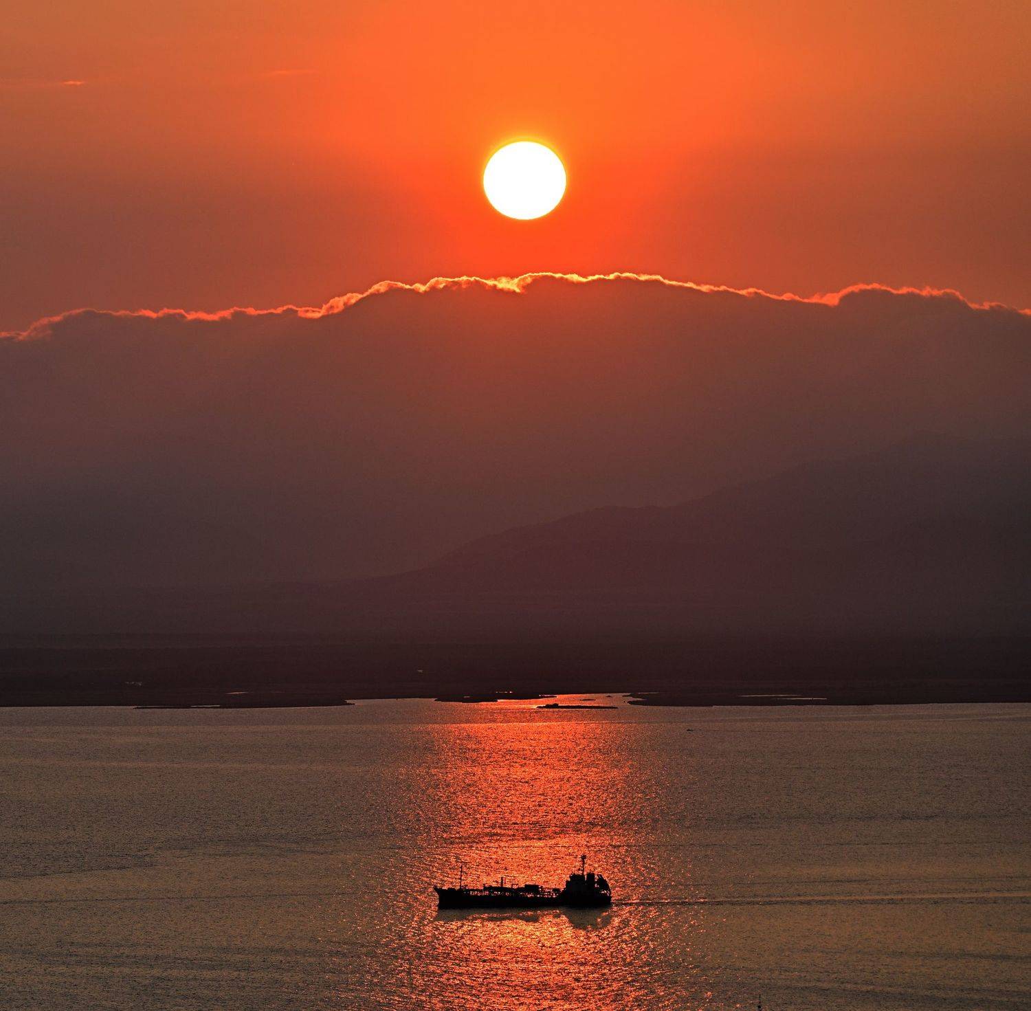 , Александр Мухин