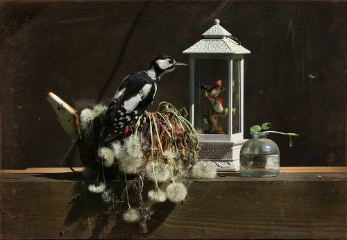 Родственники?