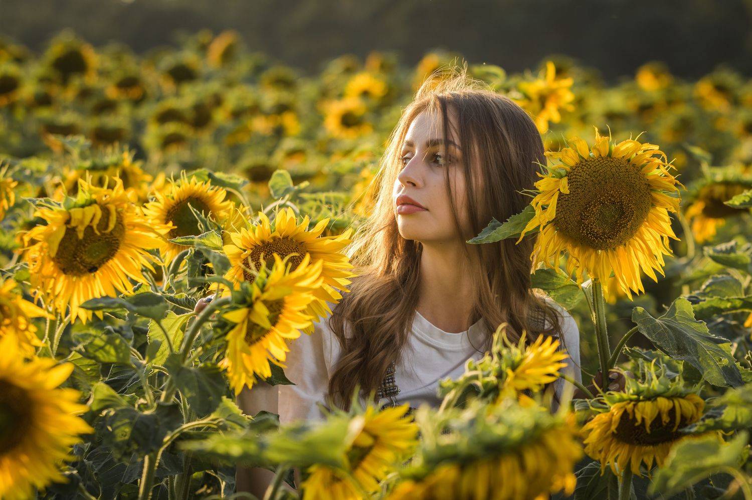 , Maciej Werbliński
