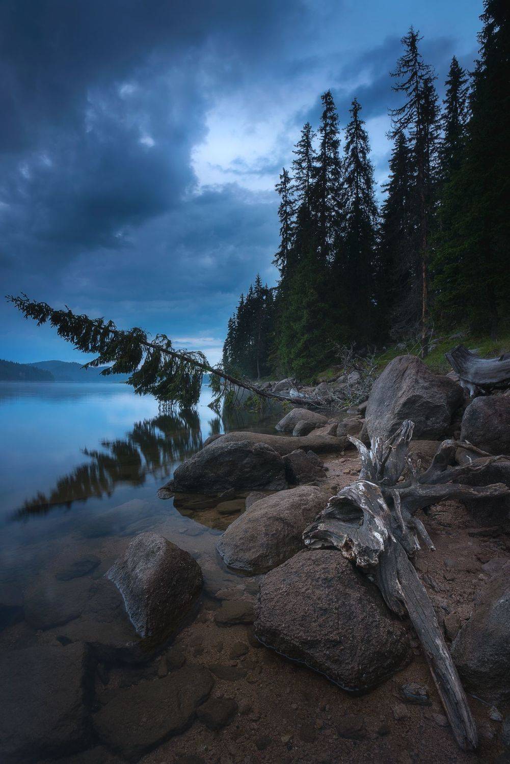 , Mariyana Atanasova - Lucero