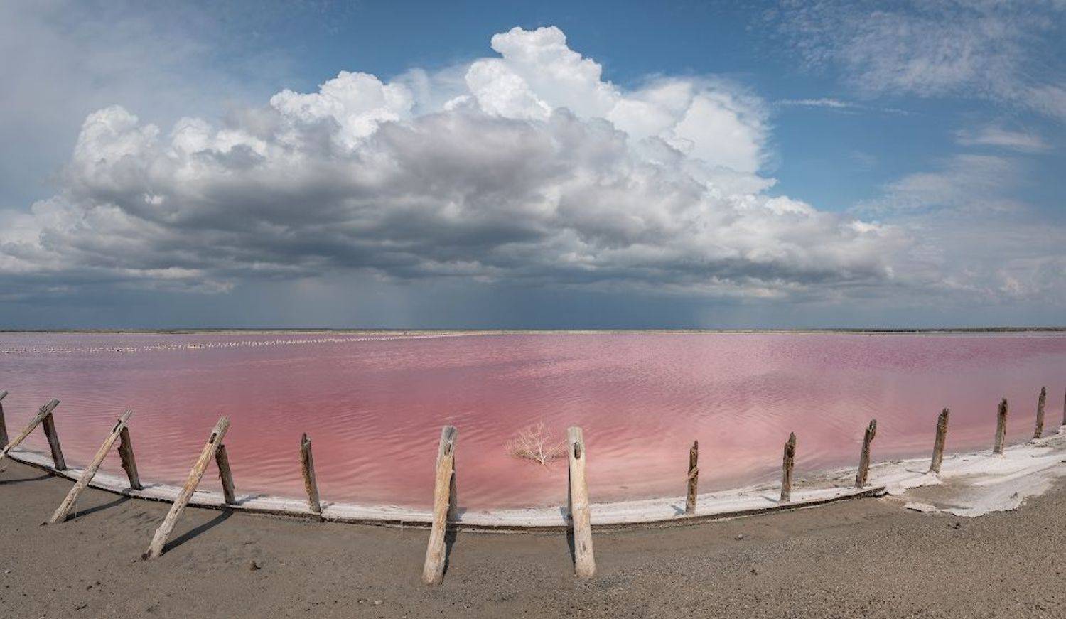 , Андрей Гусаченко