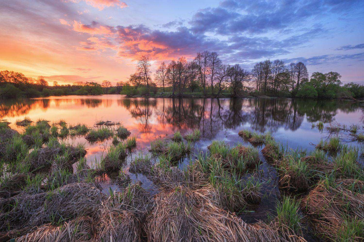 2022, россия, калужская область, огубь, утро, деревья, пейзаж, весна, трава, река, отражение, берег, рассвет, облака, Денис Лукьяненко