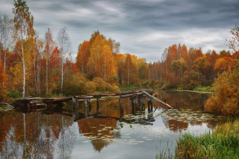 озеро, горы, лес, природа, закат, рассвет, красота, приключения, путешествие Тишина осенняя фото превью