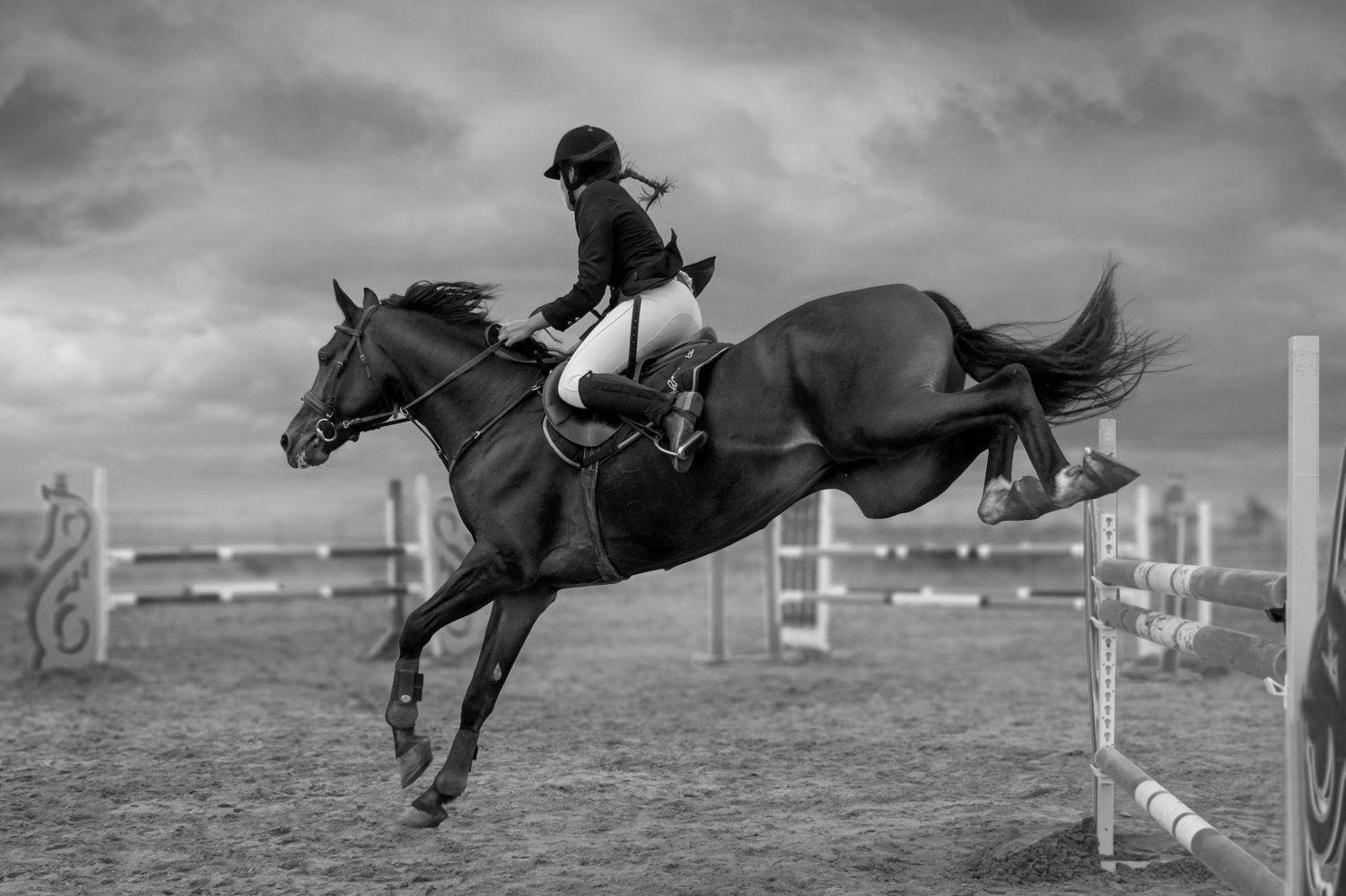 Лошадь, лошади, horse, конкур, спорт, Lia Makari