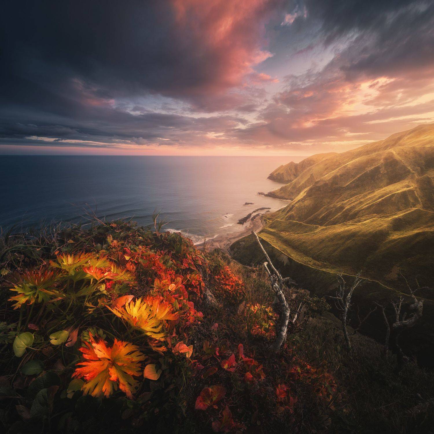 , Политова Анна