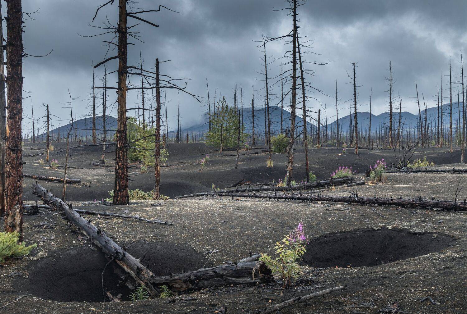 , Грамаков Юрий