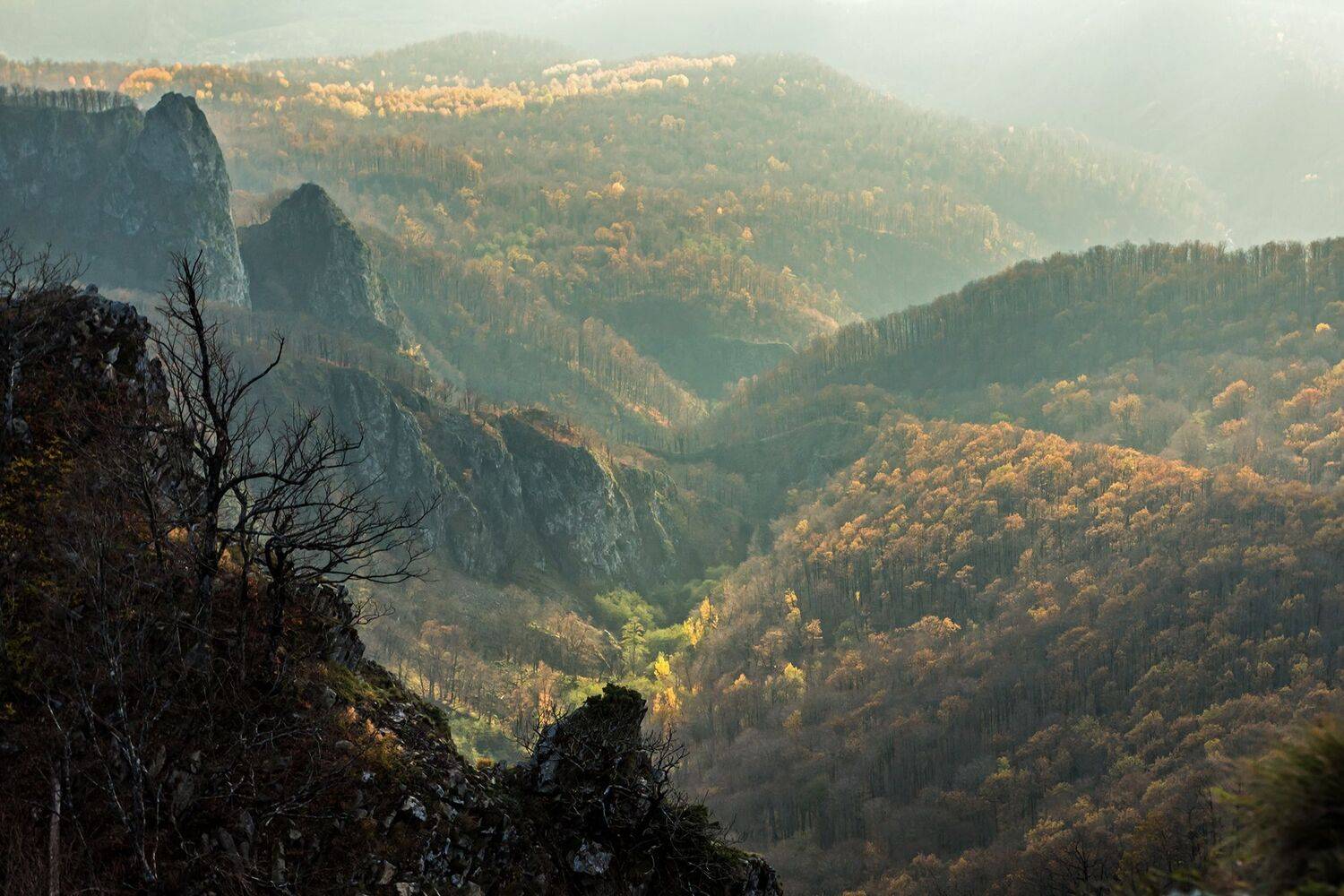 , Илья Михеев