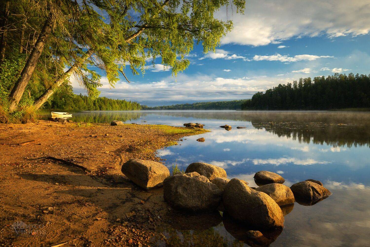 lake,sunrise,summer,golden light,shoreline,landscape,lakescape,water,fog,forest,sweden,scandinavia,, Photo Visions