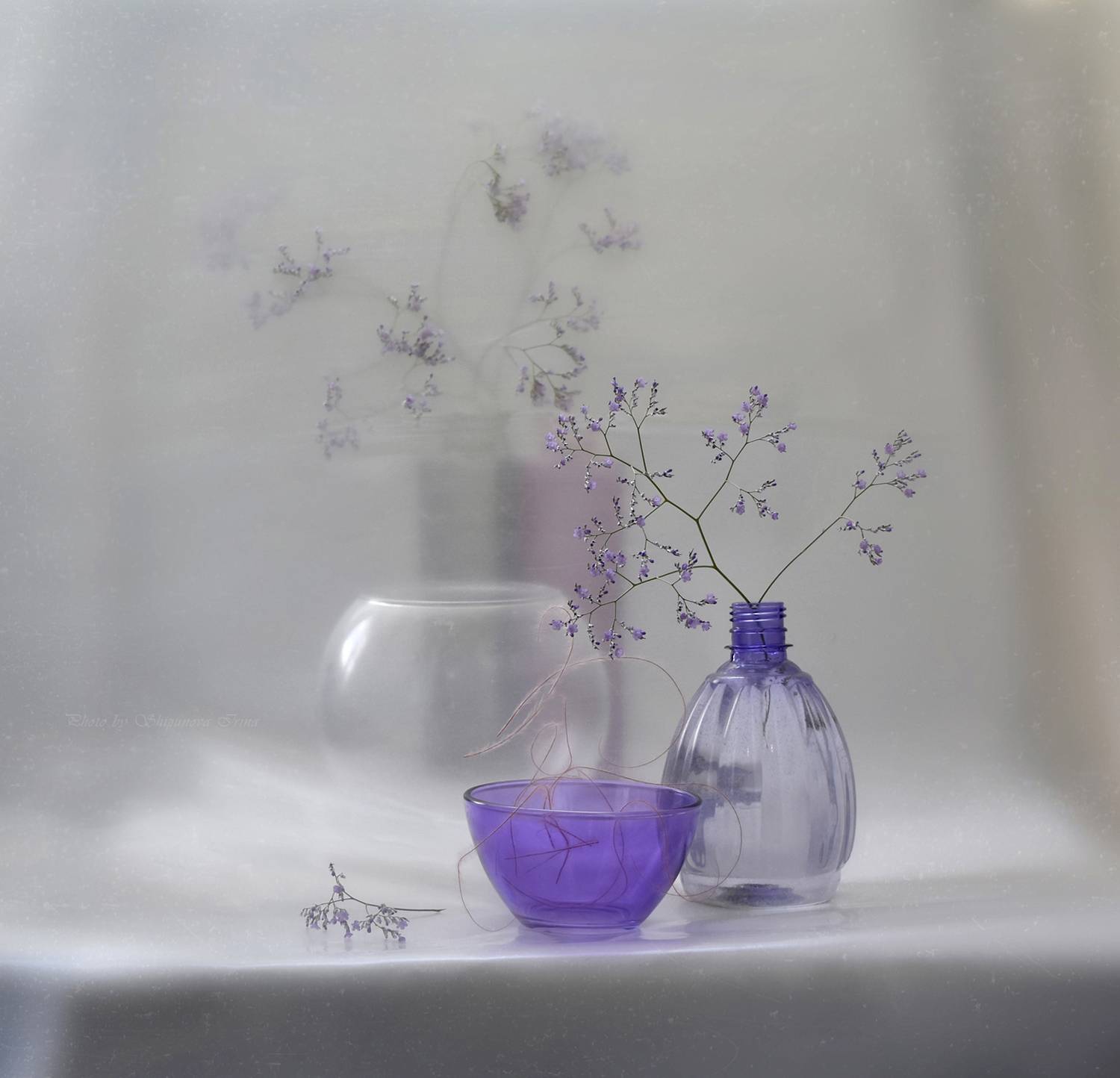 , Шипунова Ирина