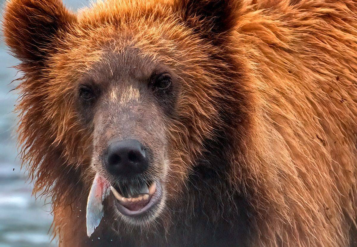 , Юрий Гордонов