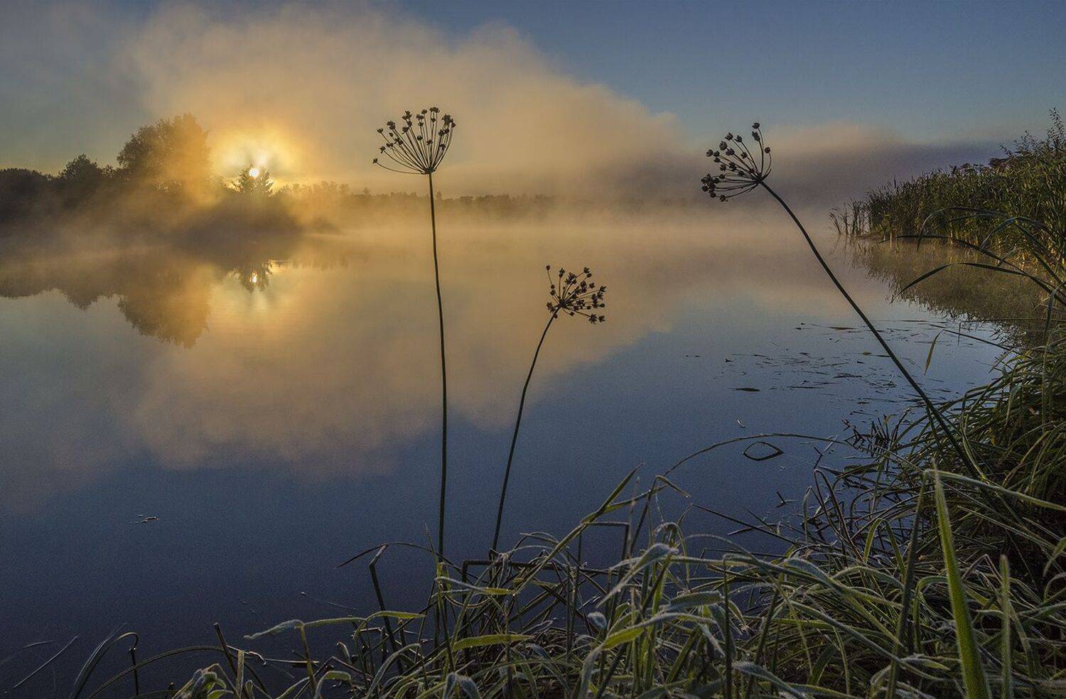рассвет, сусак, архангельское, Михаил Агеев