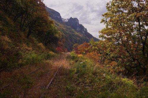 старая железная дорога.