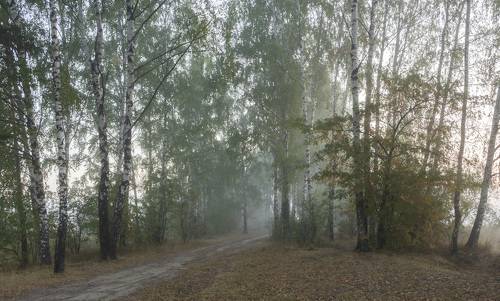 Скоро осень