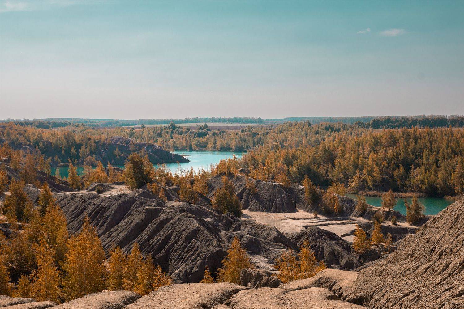 , Чудинин Дмитрий