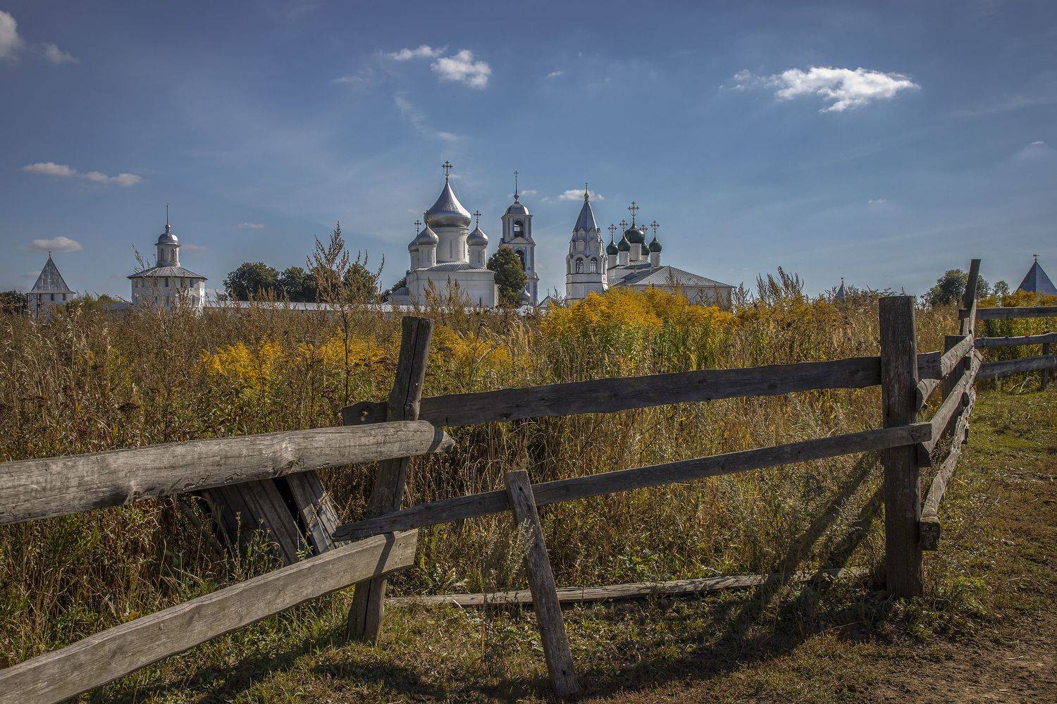 ярославская, область, Гусева Елена