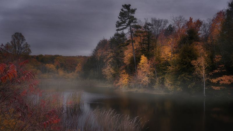 Ненастье фото превью