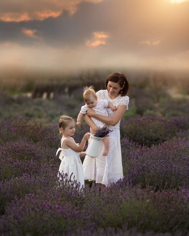 A garden full of lavender фото превью